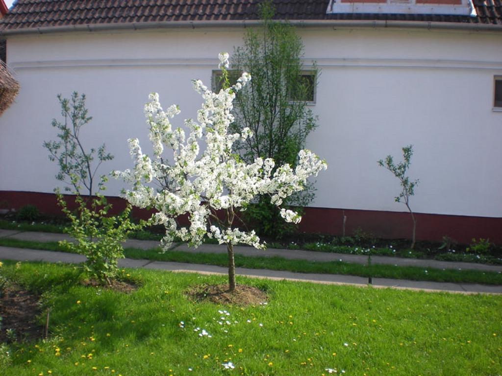 Hajdu Lovasudvar Hortobagy Exterior photo